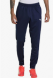 PUMA Herren Jogginghose Teamrise Poly Training Pants